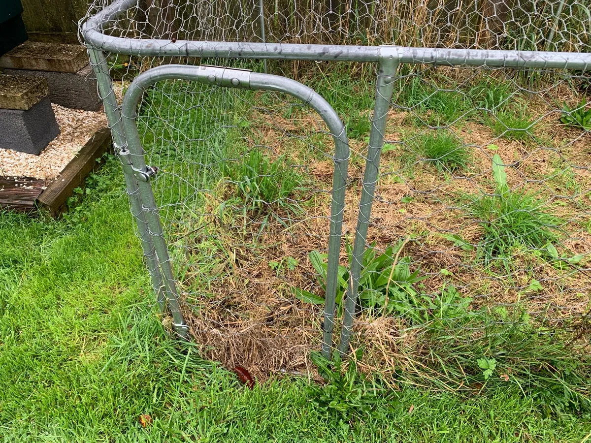 Dog Pen - Image 2
