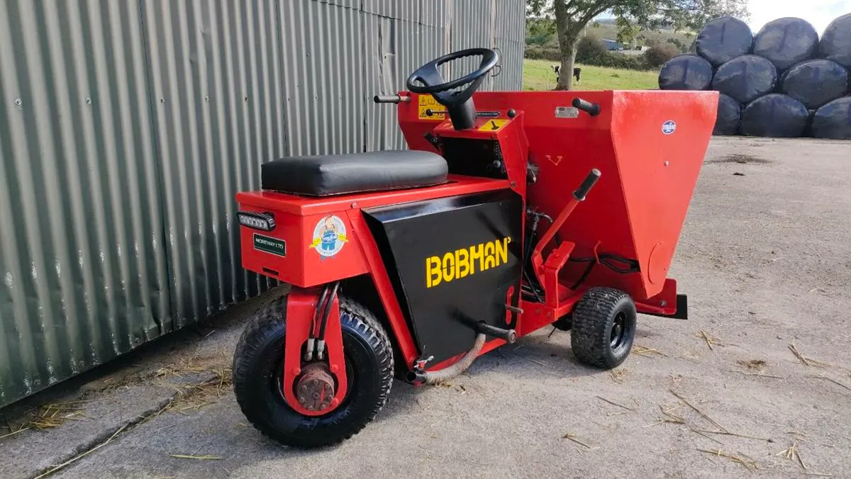 3WD Bobman - Image 1