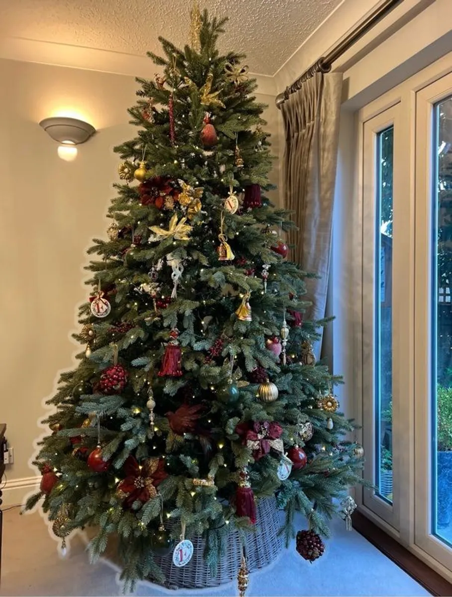 Neptune Christmas Tree & Lights - Image 1