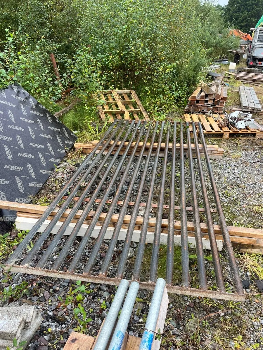 Cattle grid - Image 1