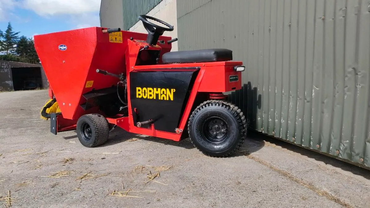 3WD Bobman - Image 4