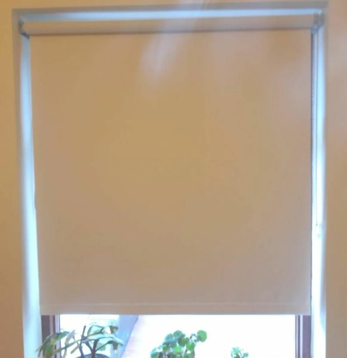 Roller blinds (FREE) - Image 1
