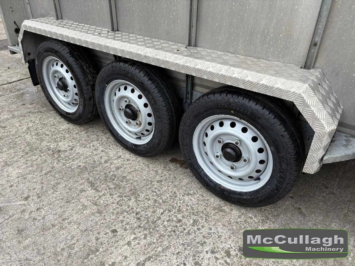 Used Nugent 12x6 Tri-Axle Cattle Trailer - Image 3