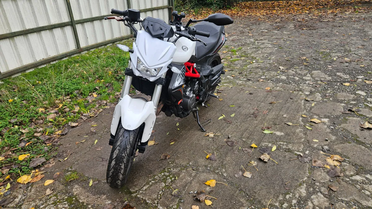 BENELLI BN302 300cc 2017 - Image 2