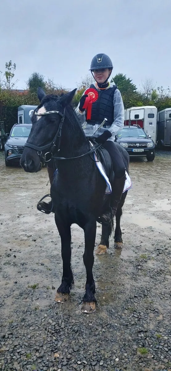 Pony for sale - Image 2