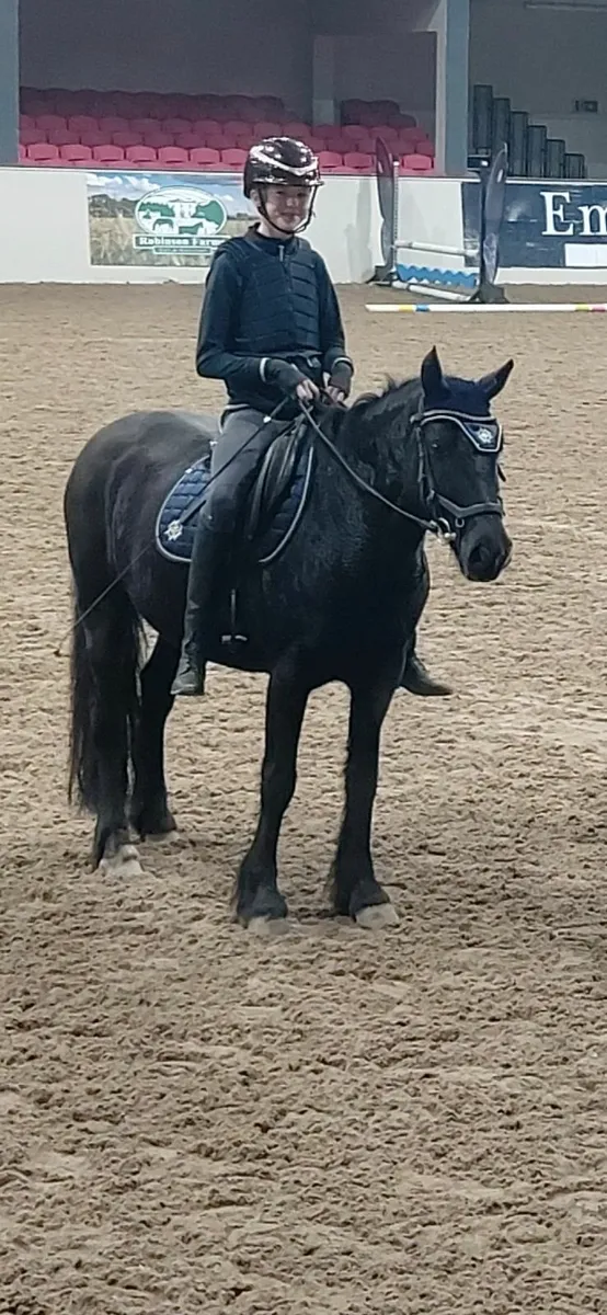 Pony for sale - Image 4