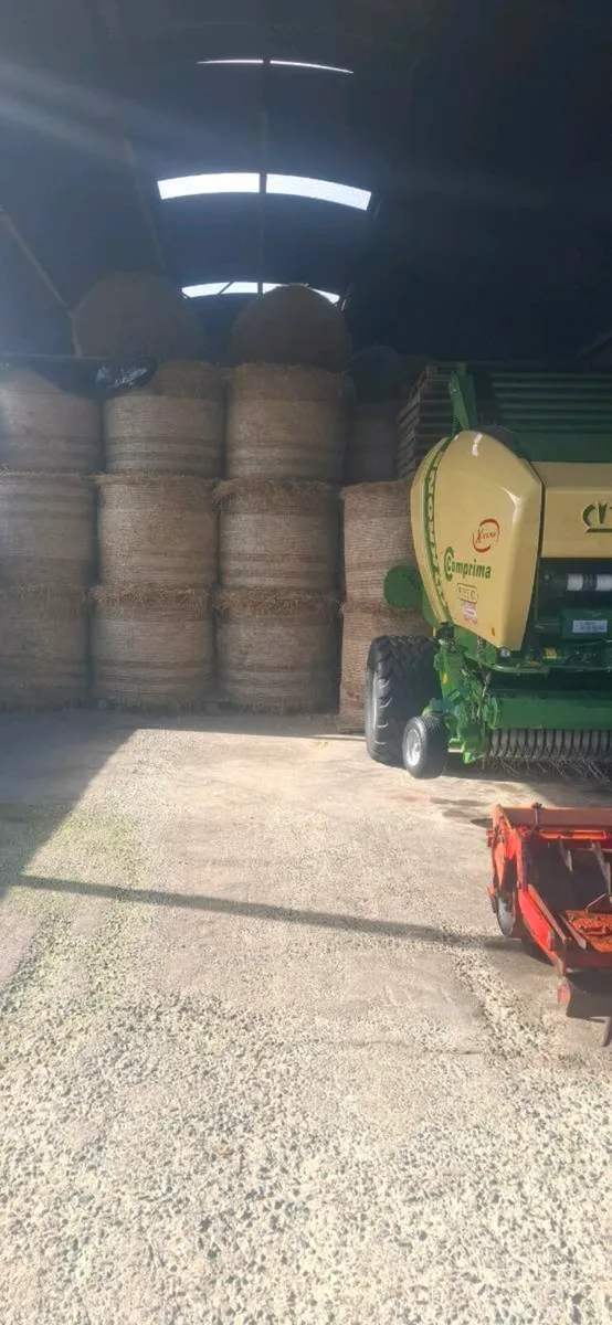 Spring Barley straw - Image 1