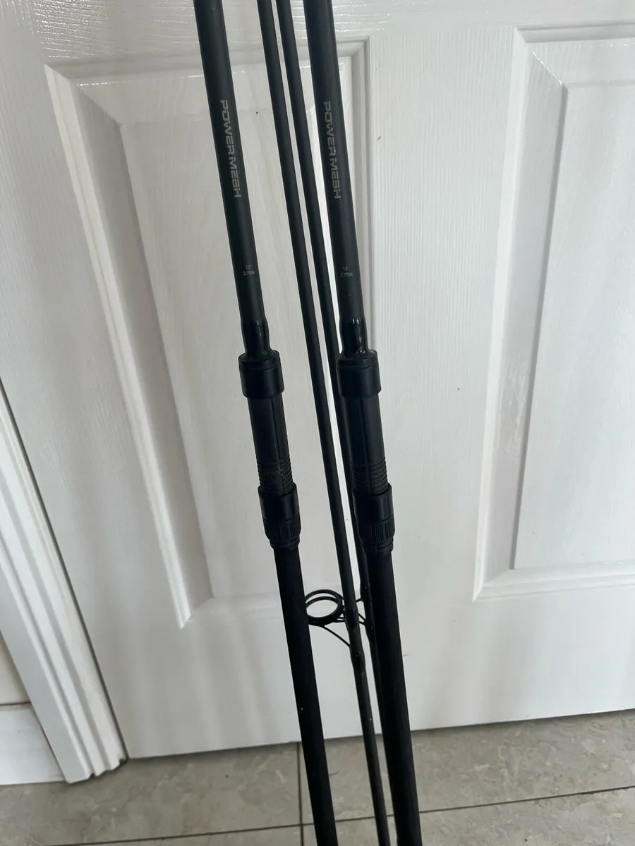 Pike and Tench rods - Image 1