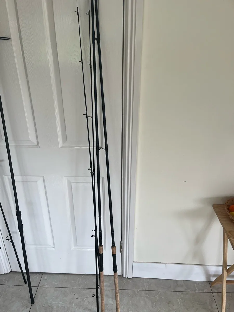 Pike and Tench rods - Image 3