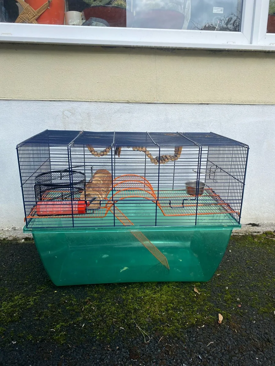Gerbil cage