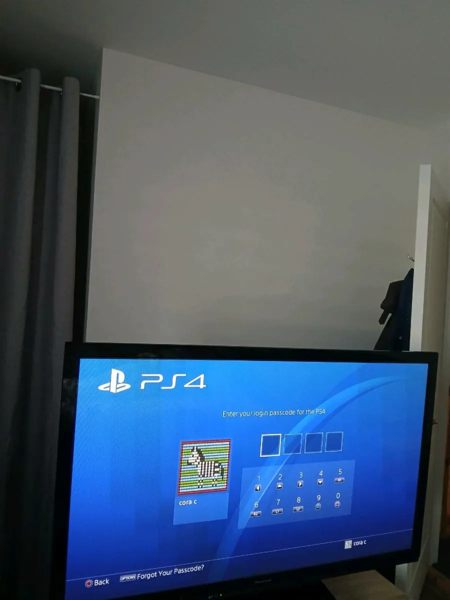 Panasonic flat screen T.V. - Image 1