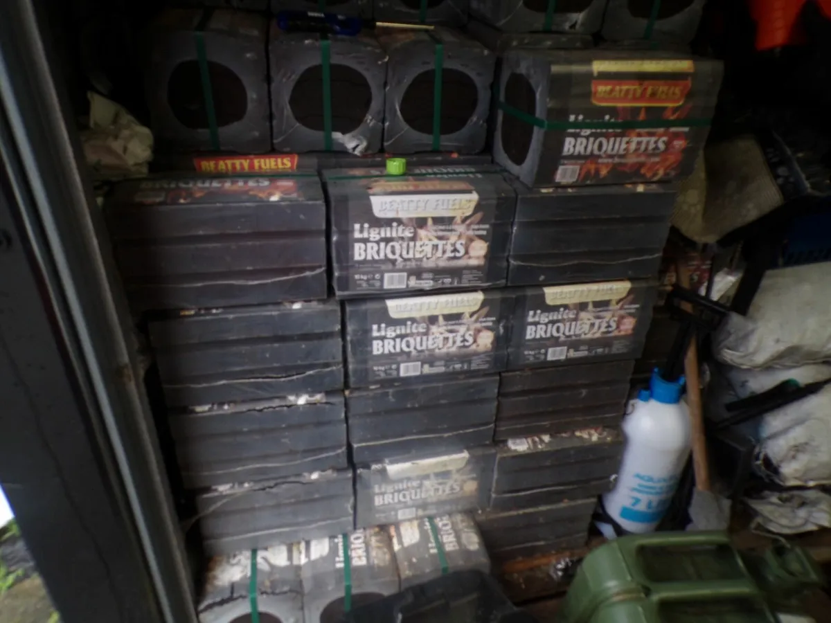lignite briquettes - Image 1