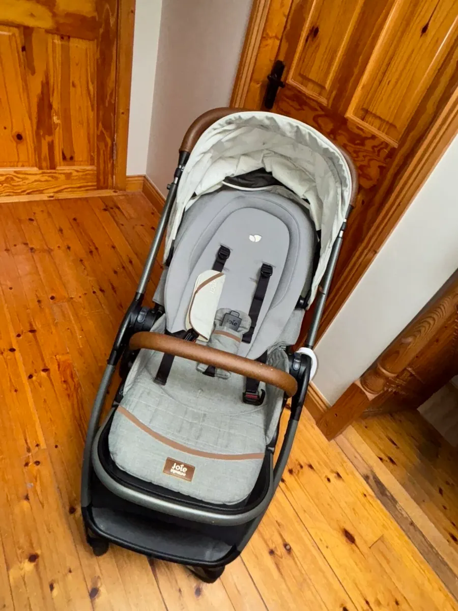 Buggy - Image 4