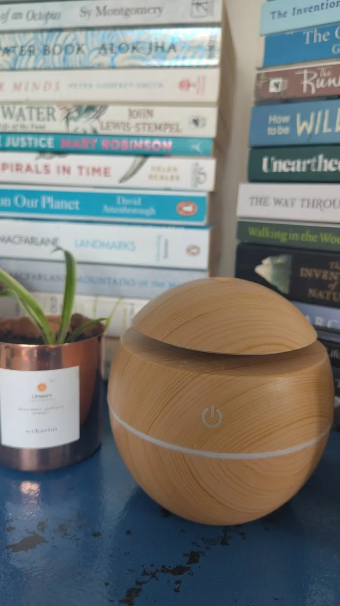 Humidifier