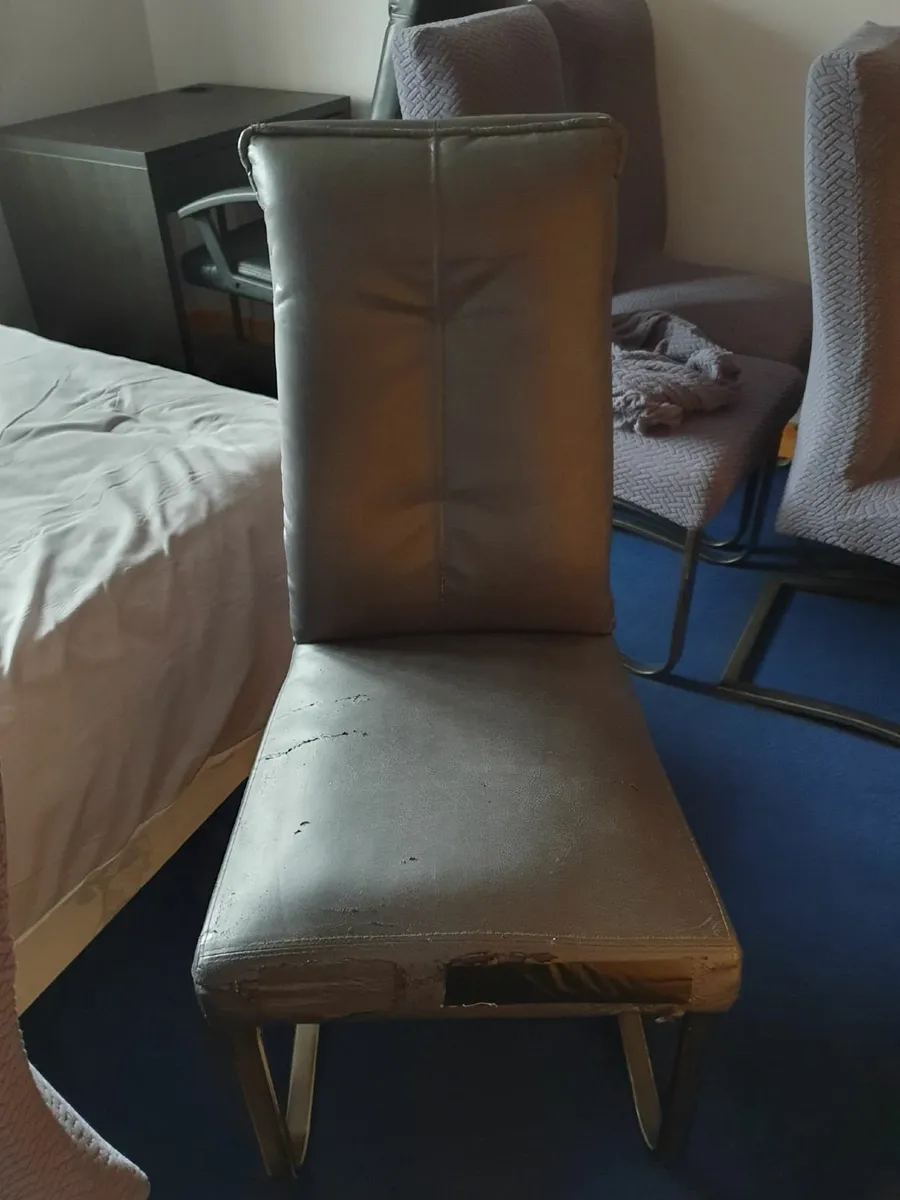 6 Dining Room Chairs Free to take away - Image 4