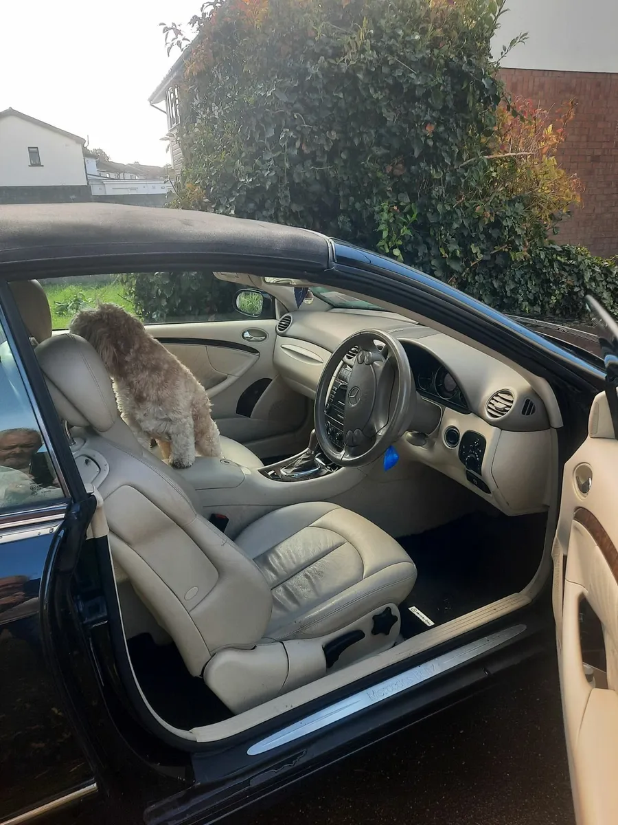 Mercedes-Benz CLK 2007 - Image 3