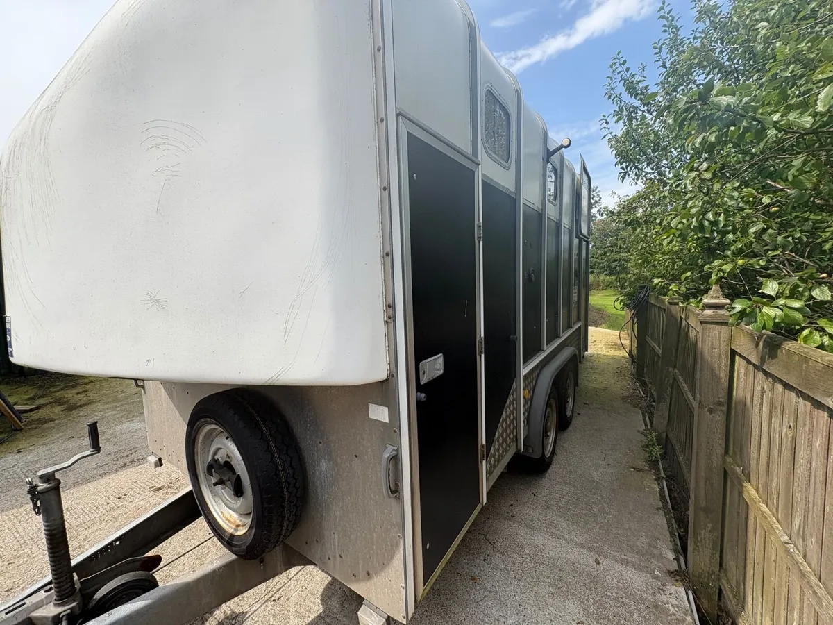 Ifor williams 610 horse trailer - Image 4
