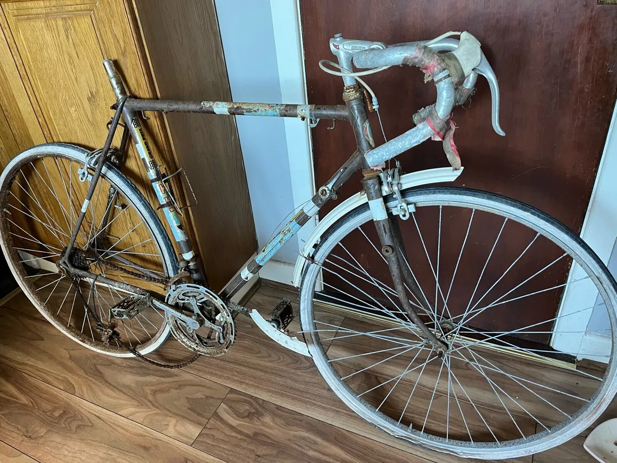 Old racer - Image 1