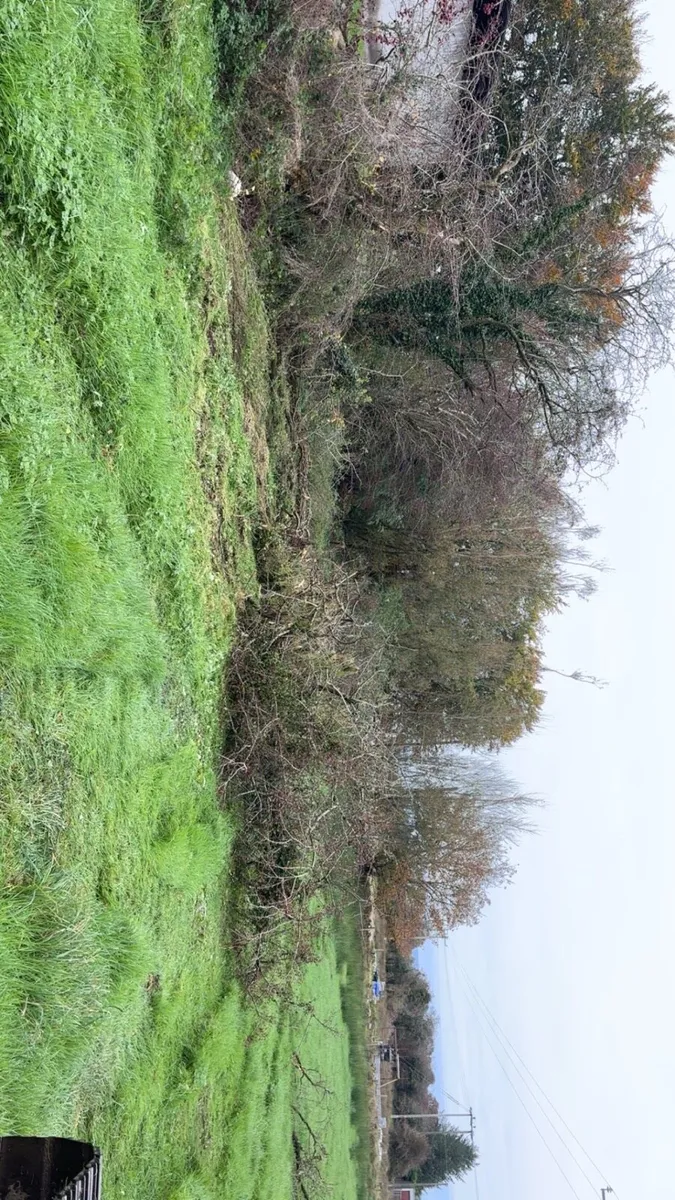 Plant hire / tractor hire - Image 2