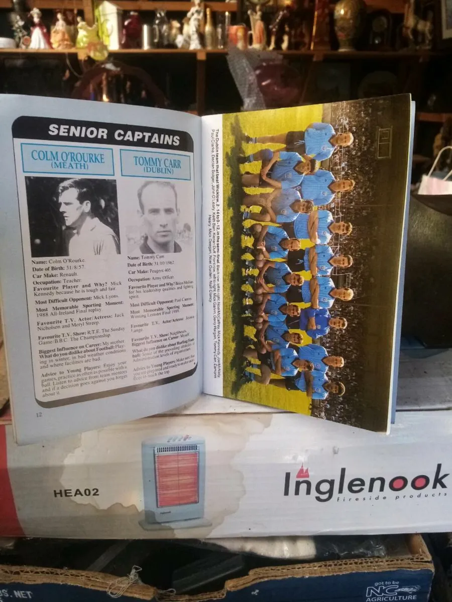 Programe - Image 3