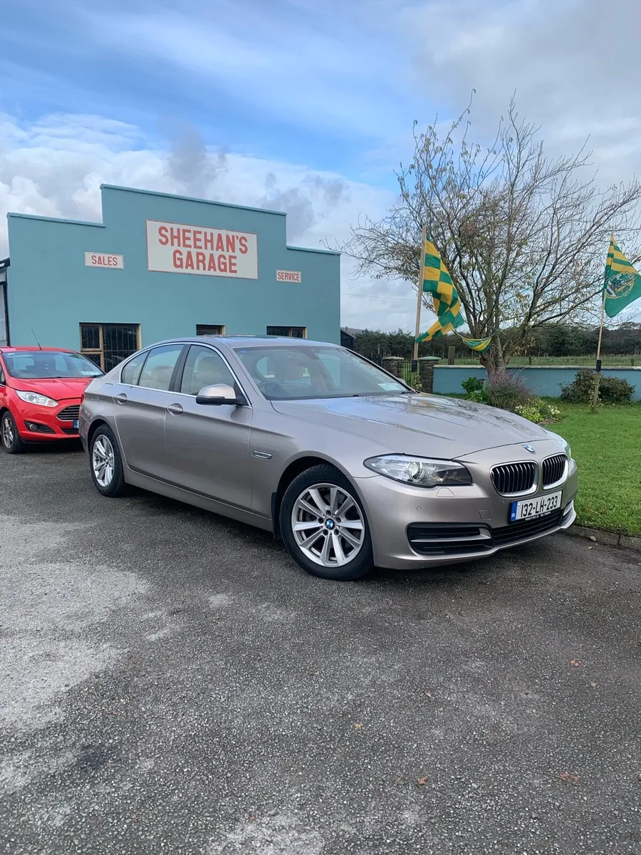 BMW 5 Series 518 SE Auto - Image 1