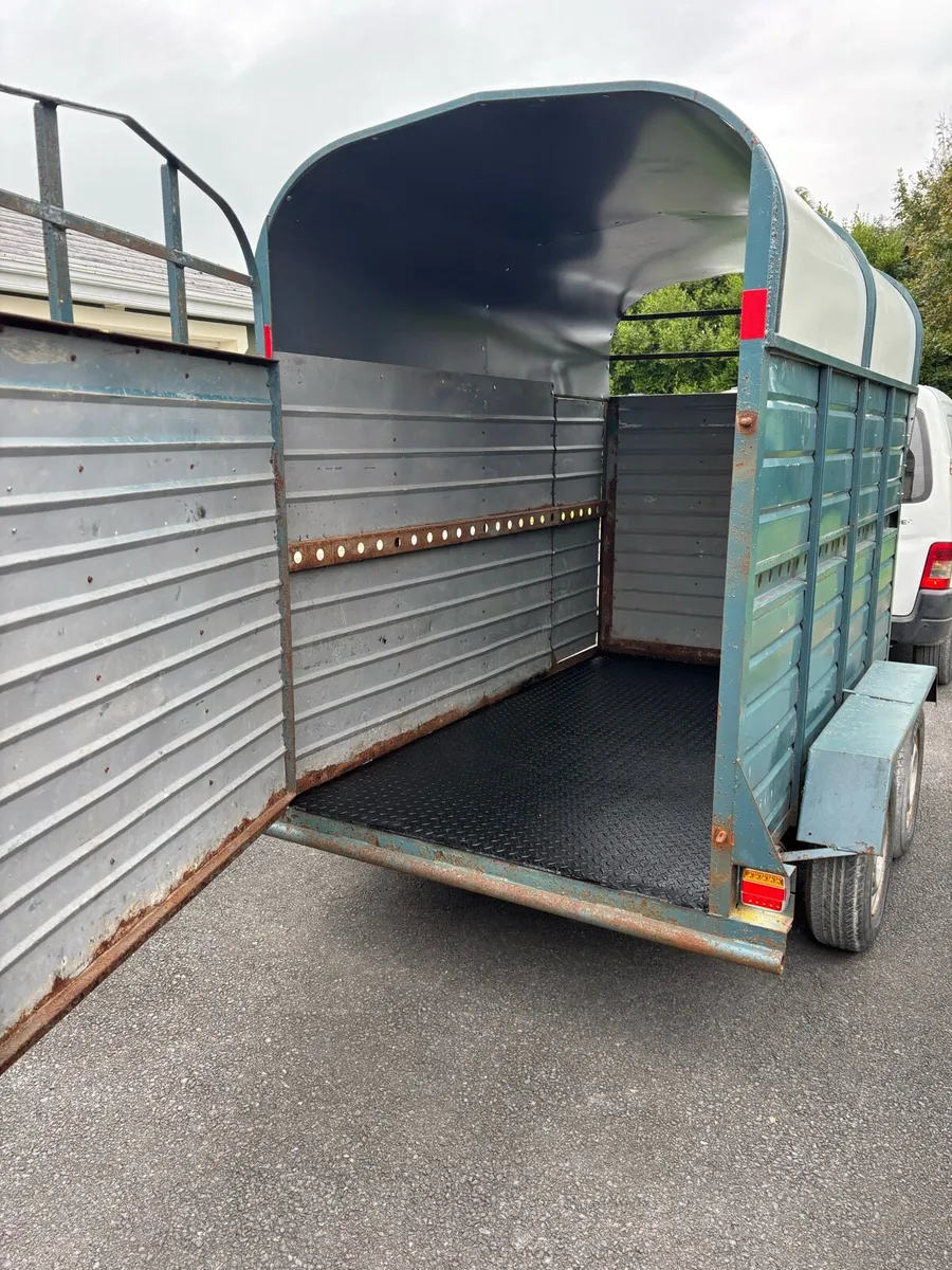 8x4”6 SMS cattle box - Image 2