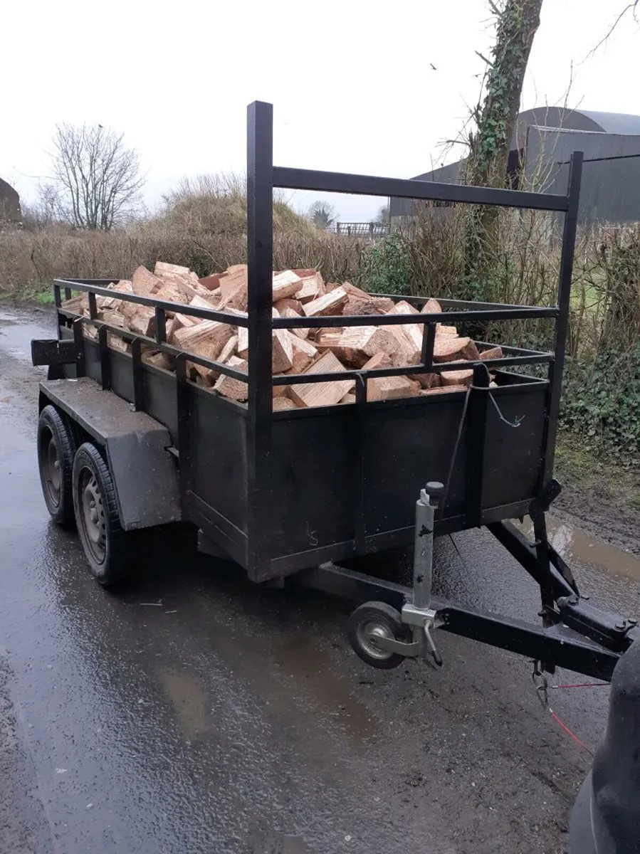 firewood/kindling - Image 1