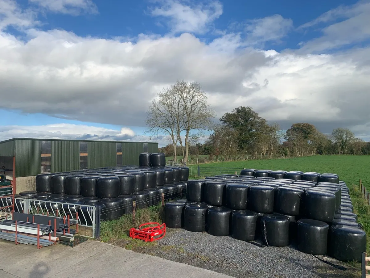 Organic haylage - Image 1