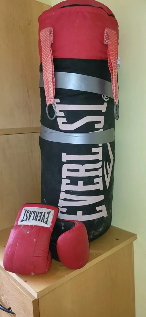 Punching bag