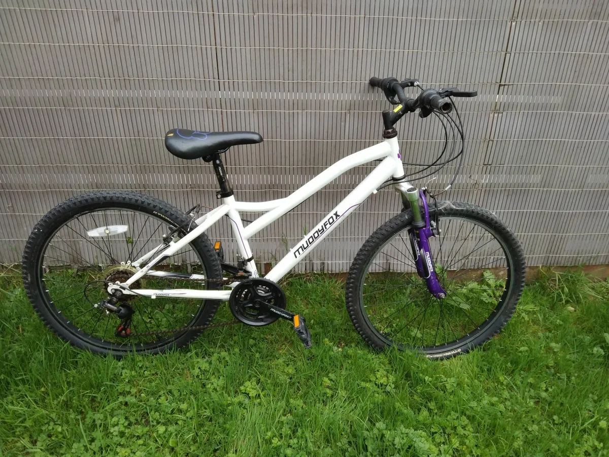Bike - Image 1