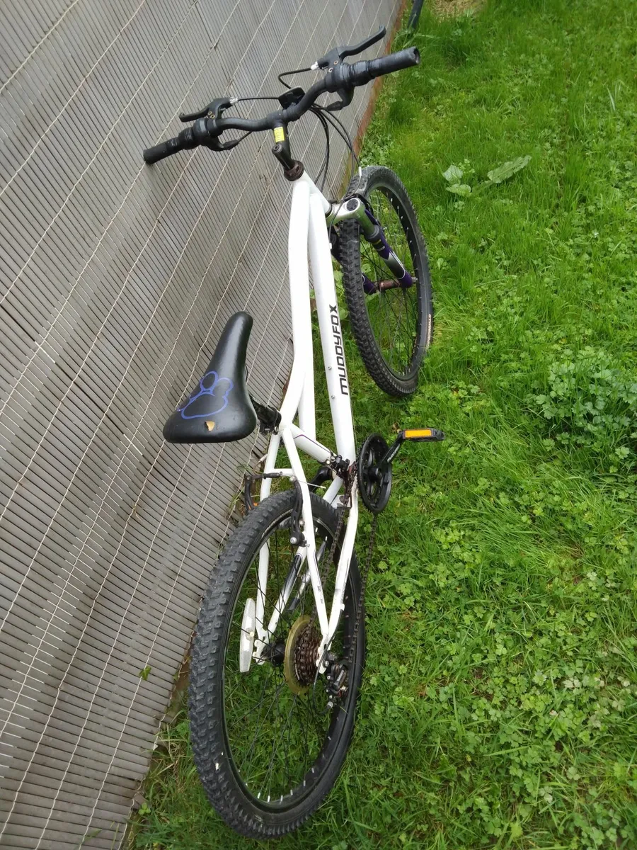 Bike - Image 2