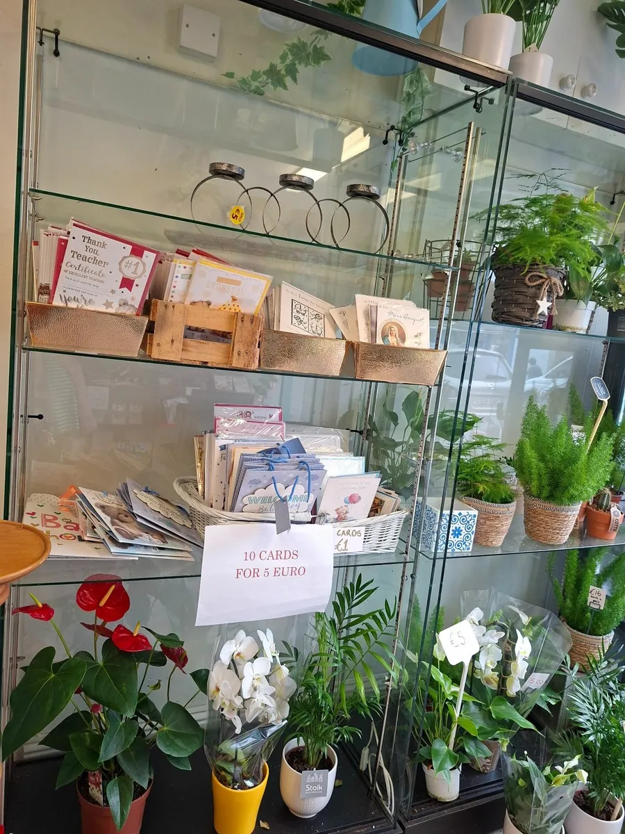 Glass Cabinets - Image 3