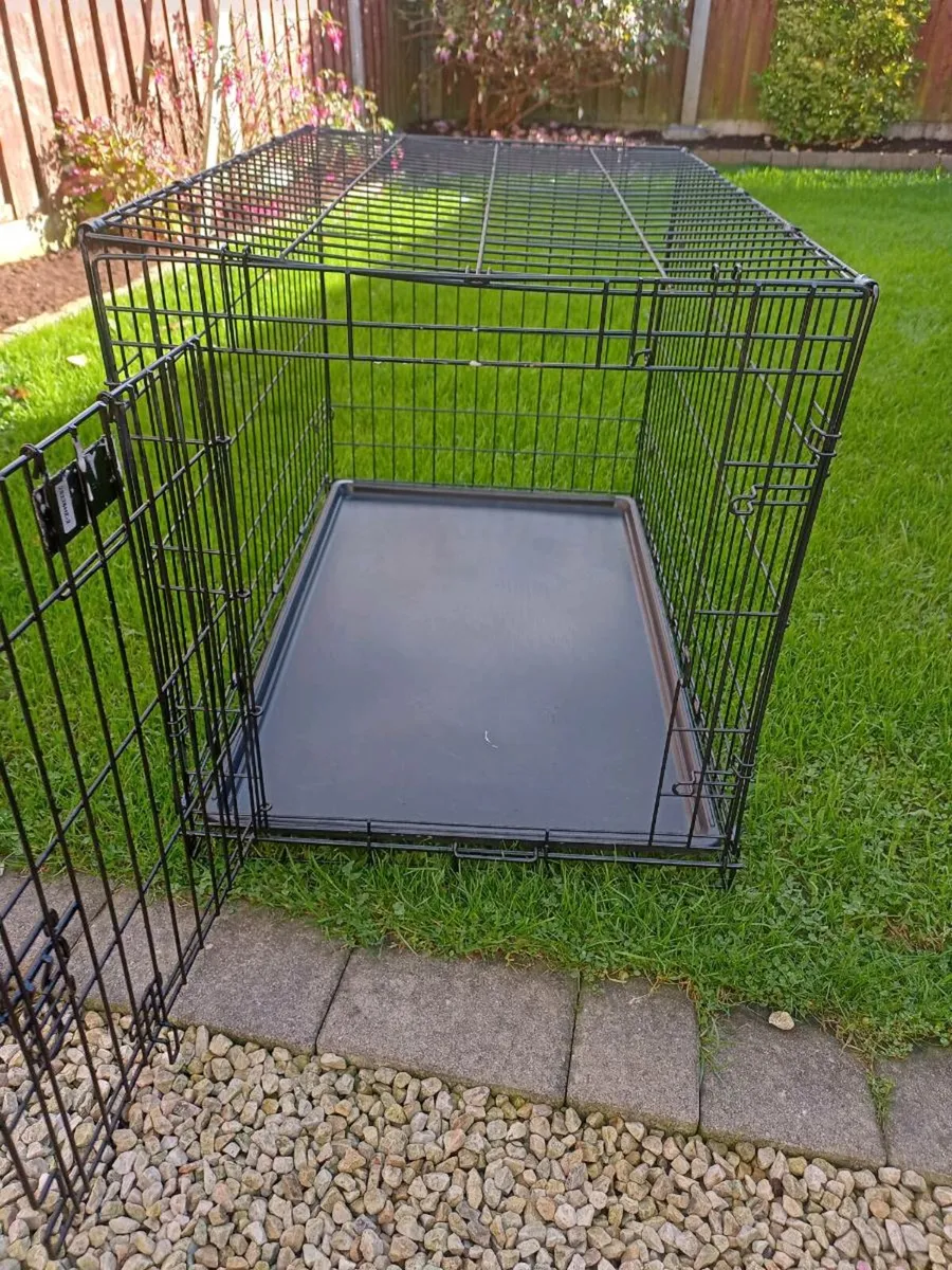 Large dog travel crate. - Image 2
