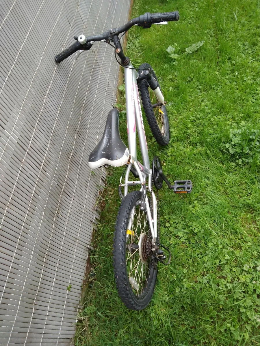 Bike - Image 2