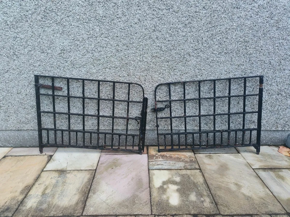 Wrought Iron Gates - Image 2