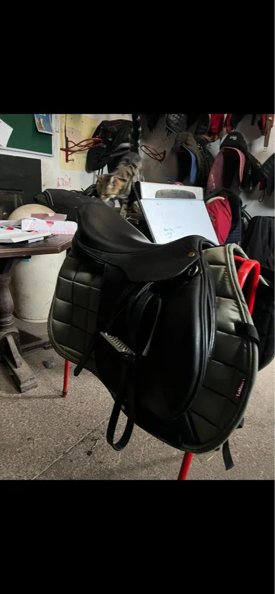 Dexter 17 inch black leather saddle - Image 2