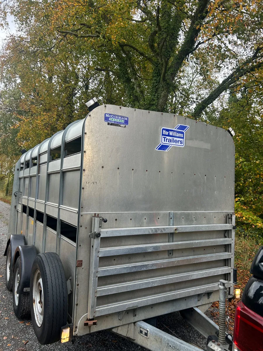 Ifor Williams 12x6 Ta510 with Sheep Decks - Image 2