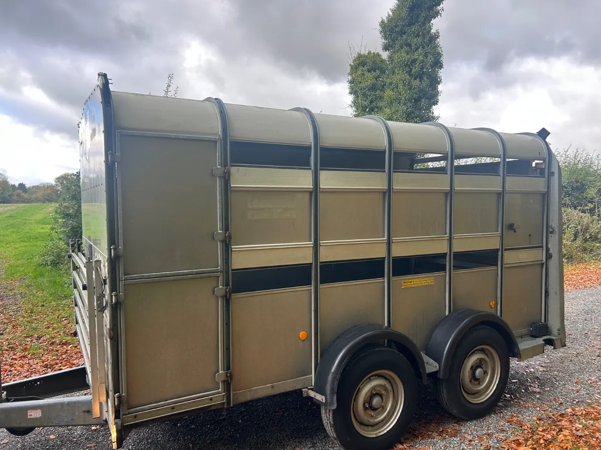 Ifor Williams 12x6 Ta510 with Sheep Decks - Image 2
