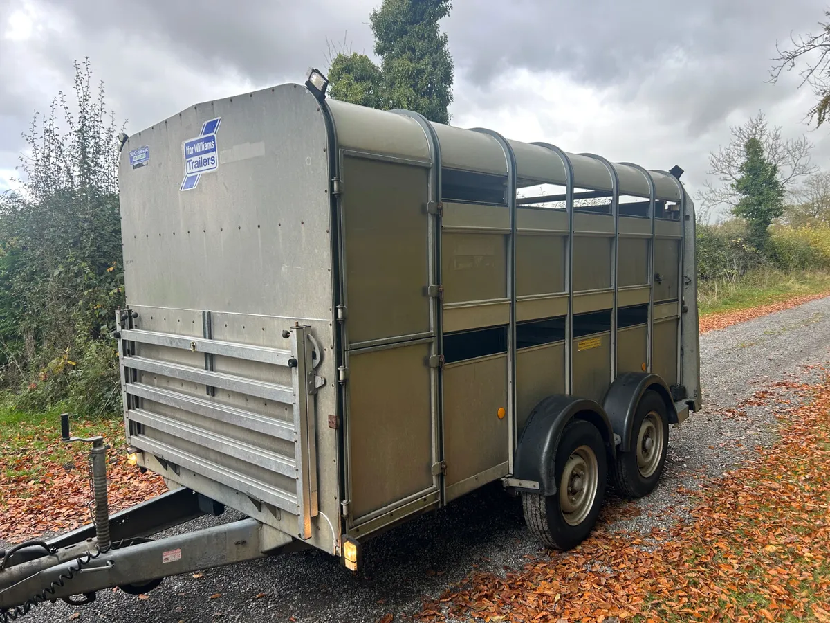 Ifor Williams 12x6 Ta510 with Sheep Decks - Image 3