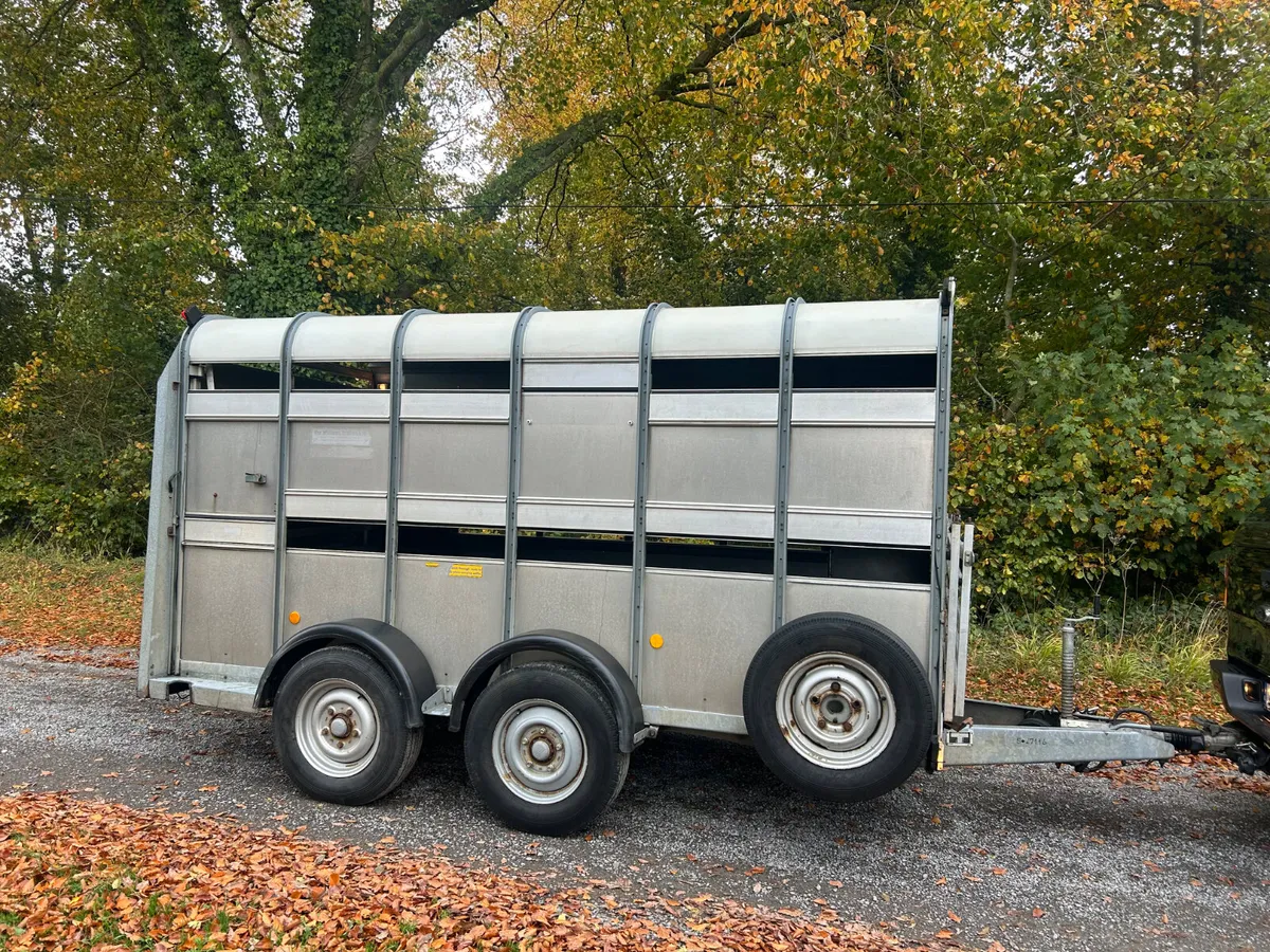 Ifor Williams 12x6 Ta510 with Sheep Decks - Image 1