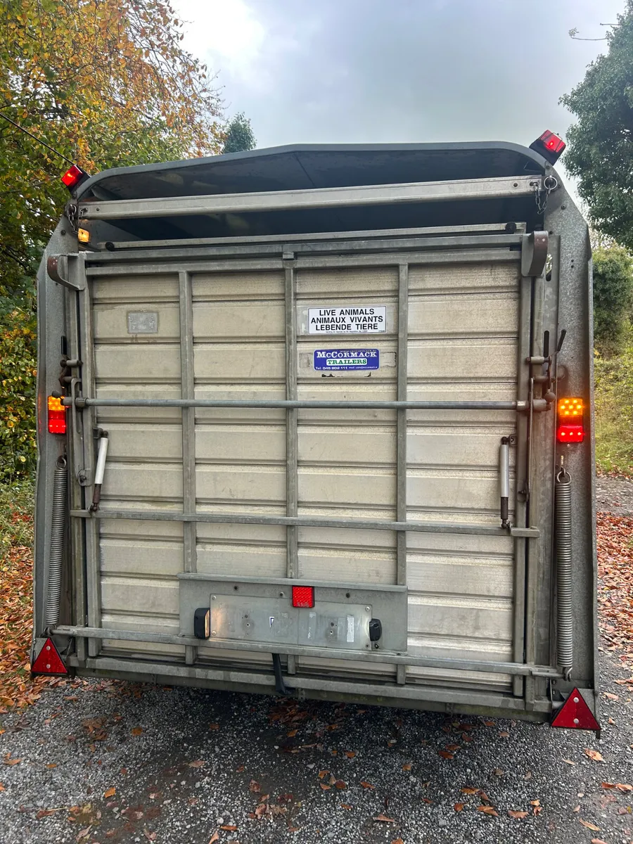 Ifor Williams 12x6 Ta510 with Sheep Decks - Image 4