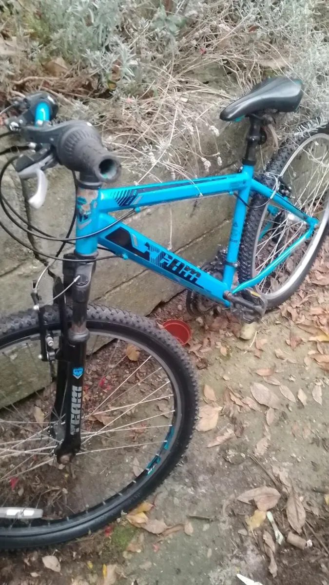 Mountain bike 26 " TEAM - Image 1