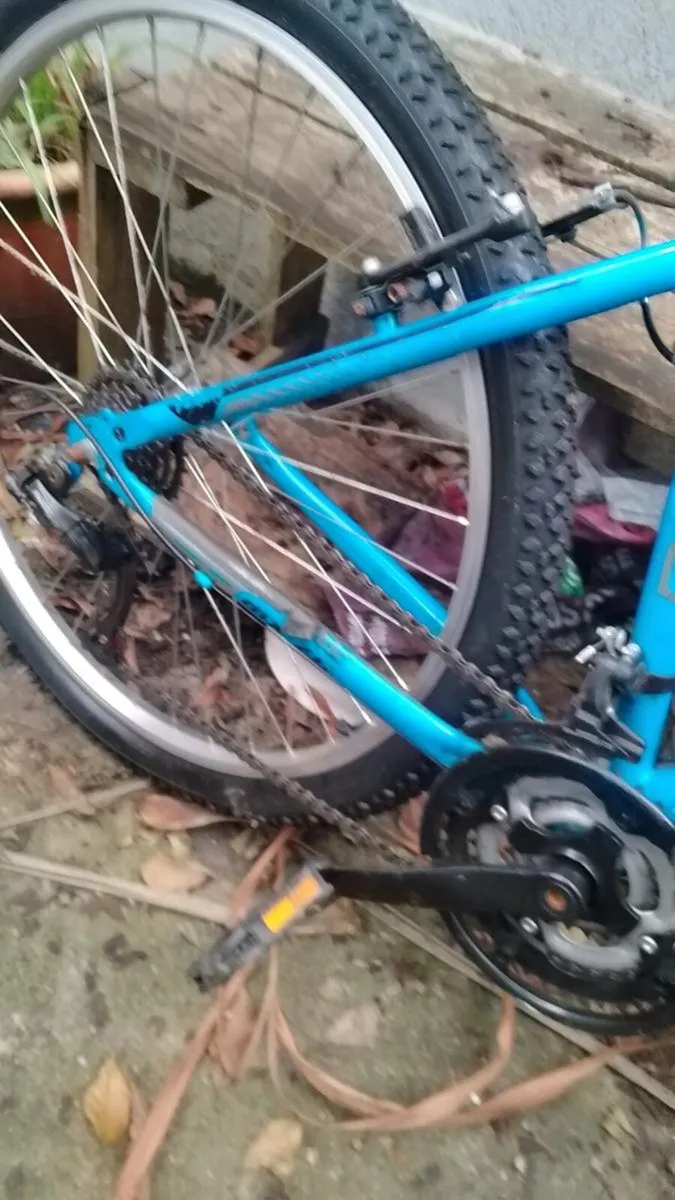 Mountain bike 26 " TEAM - Image 2