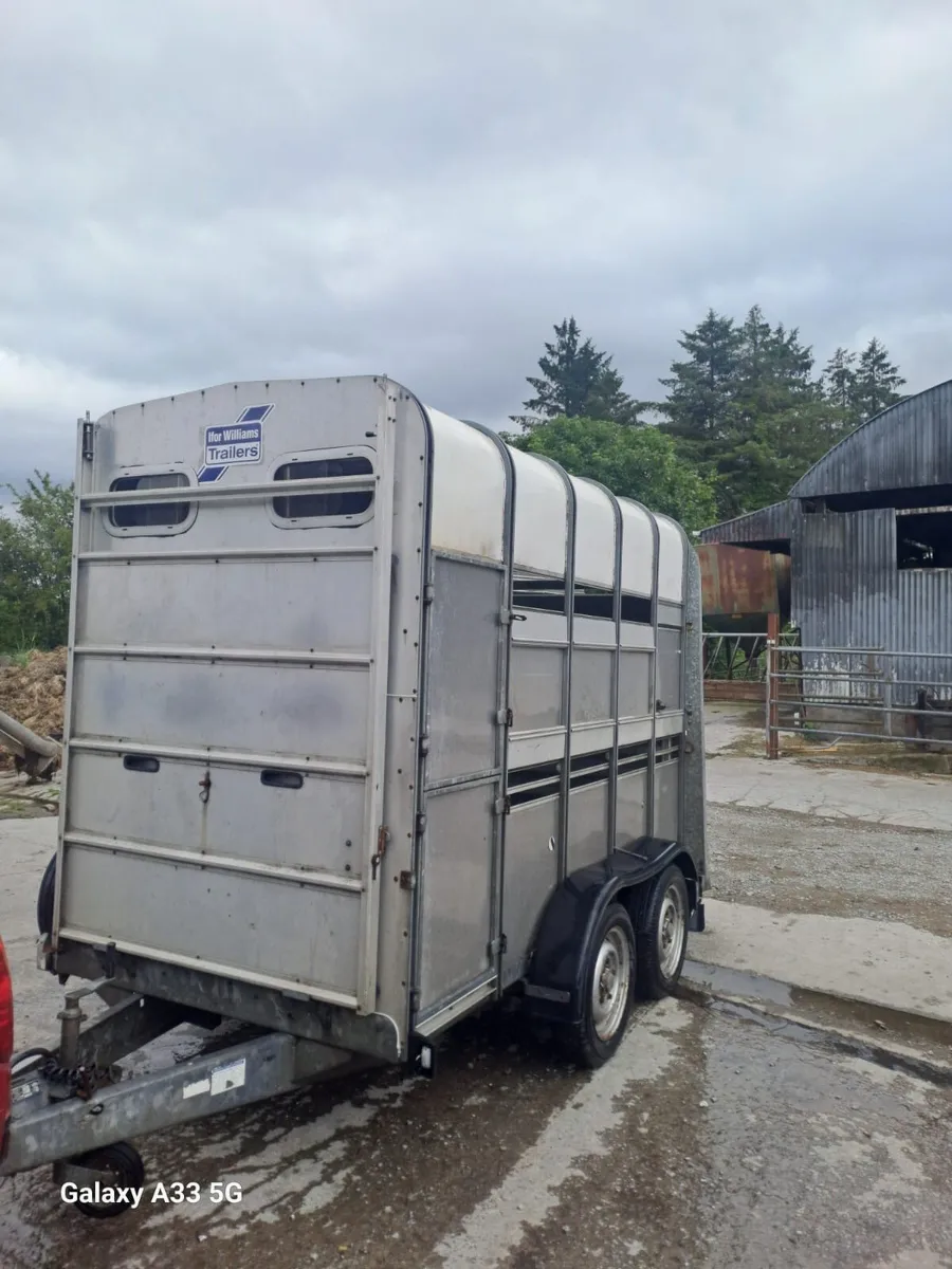 I for Williams livestock box 10 by 5,6 by 7 - Image 2