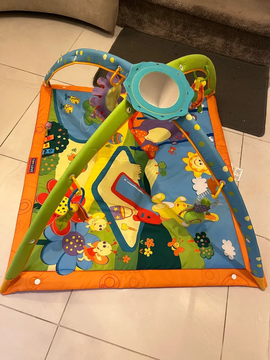 Baby Play Gym - Image 1