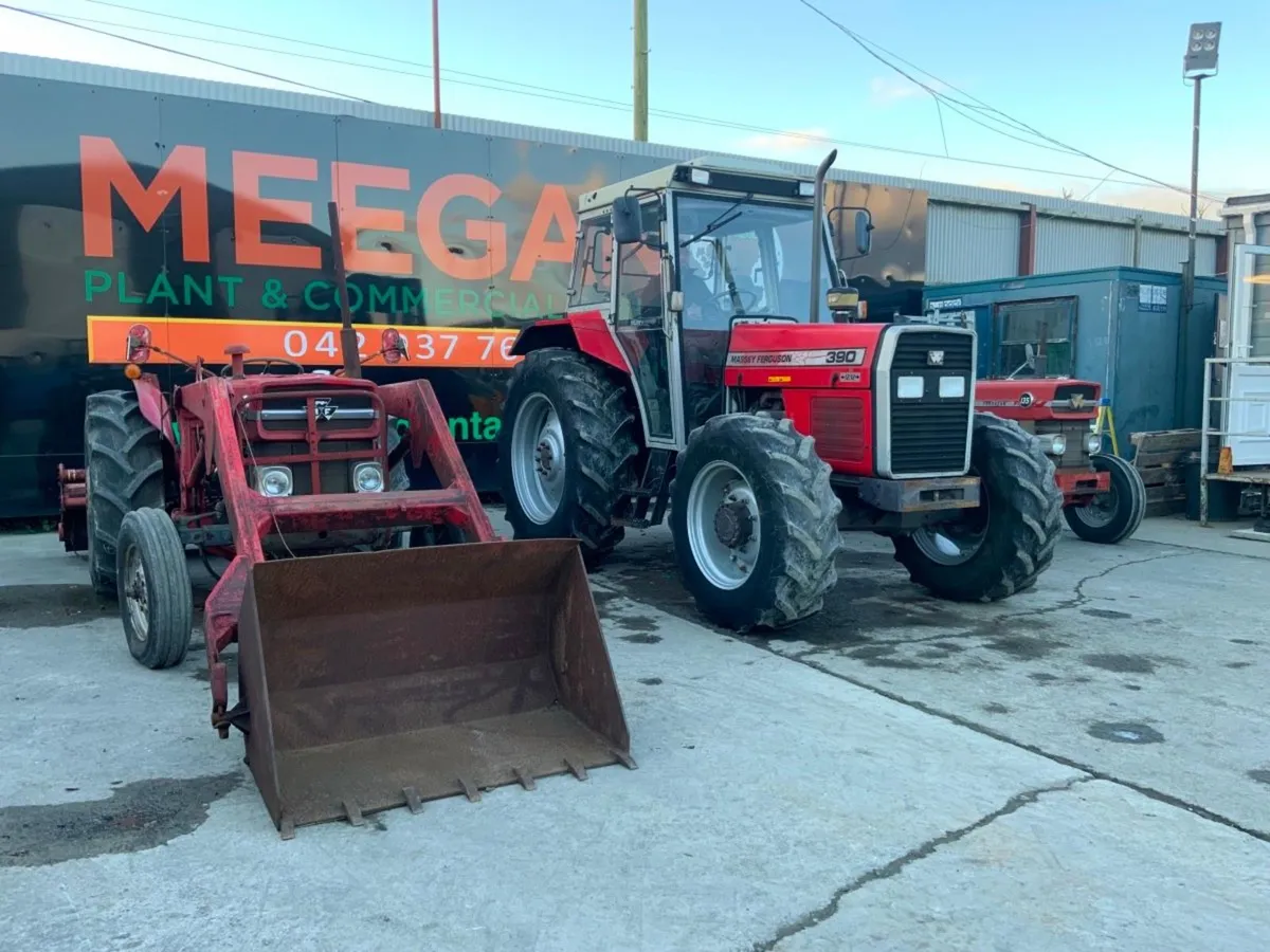 MASSEY FERGUSON 390.......MASSEY 135....CHOICE. - Image 3