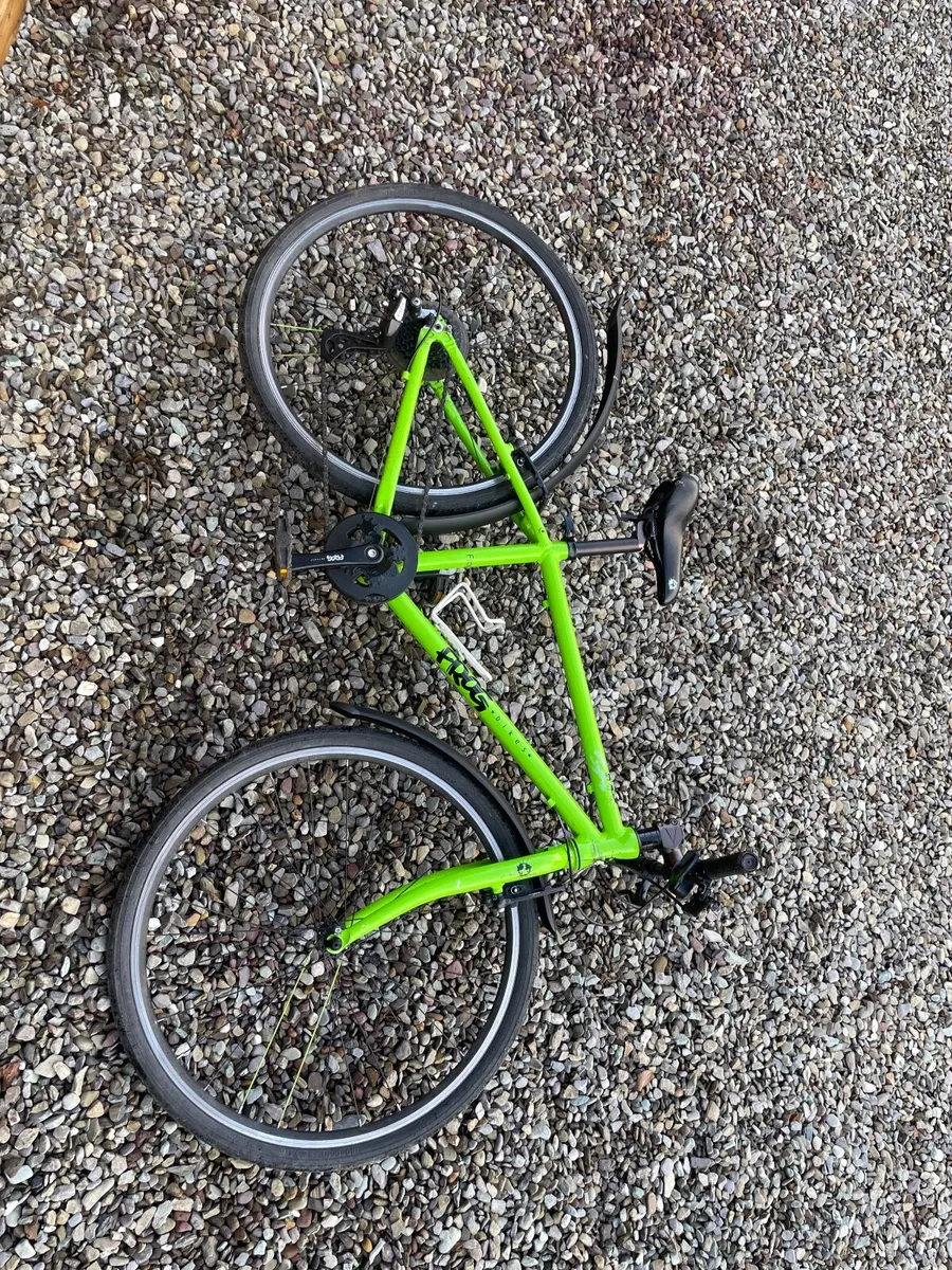 Frog bike - Image 3