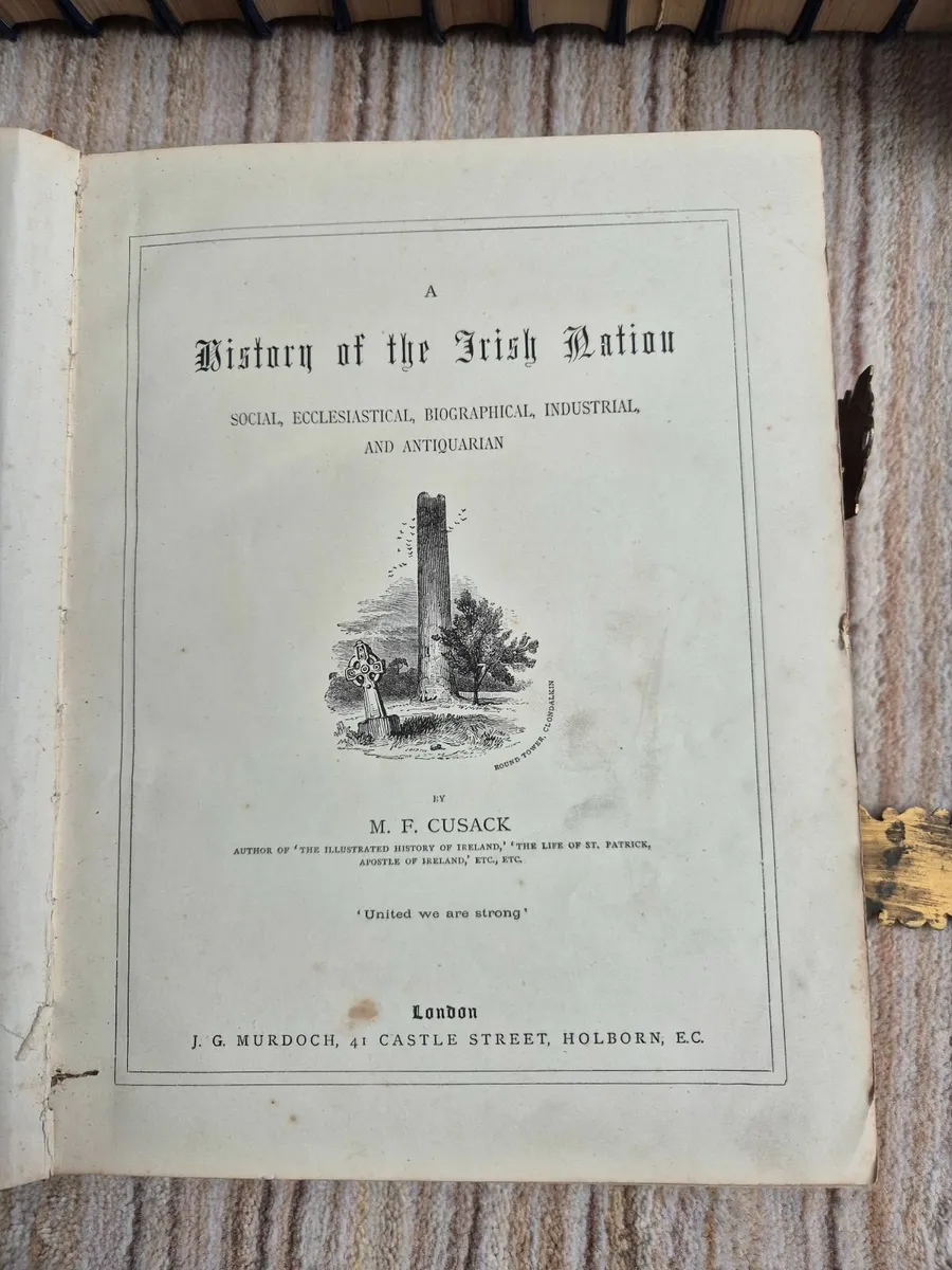 A History of The Irish Nation by M F Cusack - Image 2