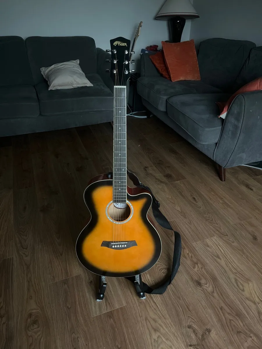 Tiger ACG-4SB Guitar - Image 1