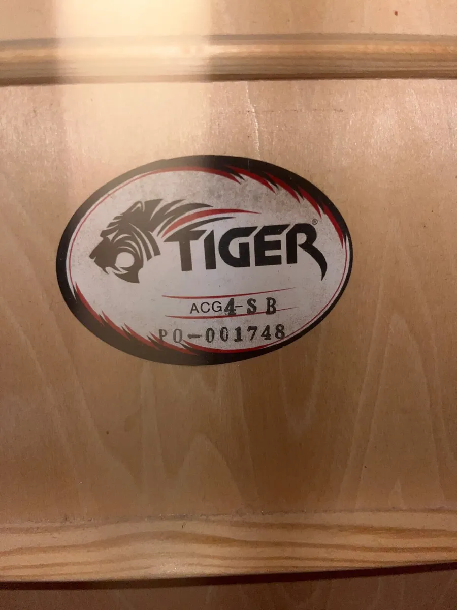 Tiger ACG-4SB Guitar - Image 3